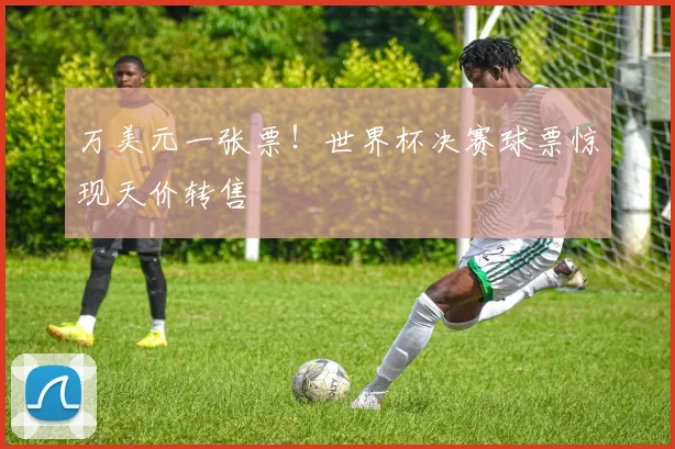 万美元一张票！世界杯决赛球票惊现天价转售